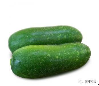 瓜适合怎么吃,多样食法尽享夏日清新