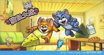 猫鼠大战吃瓜兔