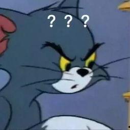 猫鼠大战吃瓜兔